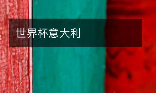 世界杯意大利