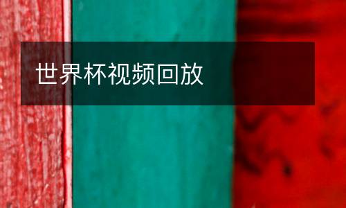 世界杯視頻回放