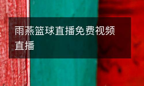 雨燕籃球直播免費視頻直播