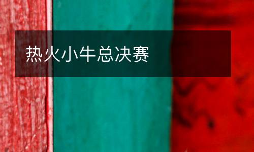 熱火小?？倹Q賽