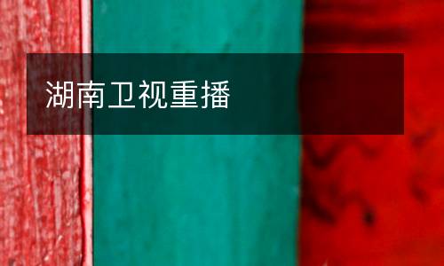 湖南衛(wèi)視重播
