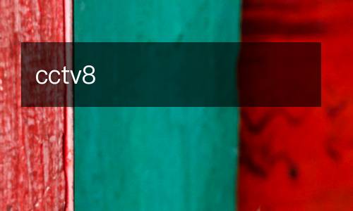 cctv8