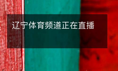 遼寧體育頻道正在直播