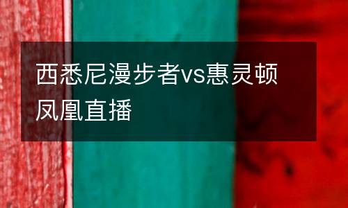 西悉尼漫步者vs惠靈頓鳳凰直播