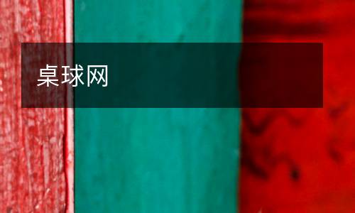桌球網(wǎng)