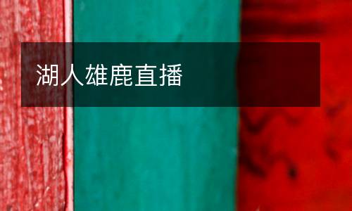 湖人雄鹿直播
