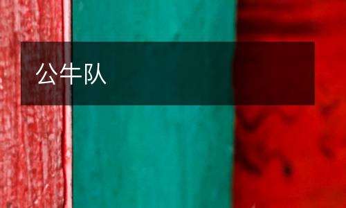 公牛隊(duì)