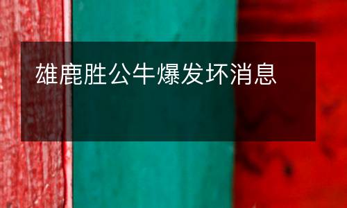 雄鹿勝公牛爆發(fā)壞消息
