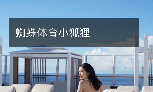 蜘蛛體育小狐貍