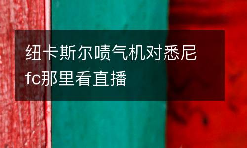 紐卡斯?fàn)枃K氣機(jī)對(duì)悉尼fc那里看直播