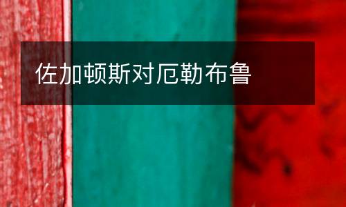 佐加頓斯對(duì)厄勒布魯